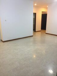 Residences @ Evelyn (D11), Condominium #441292161